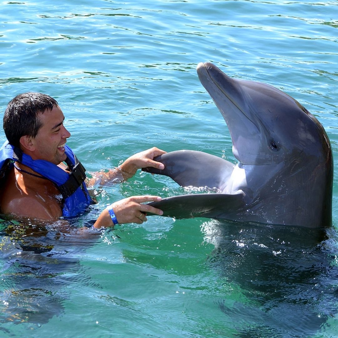 11Alanya Swimming with Dolphins Tour