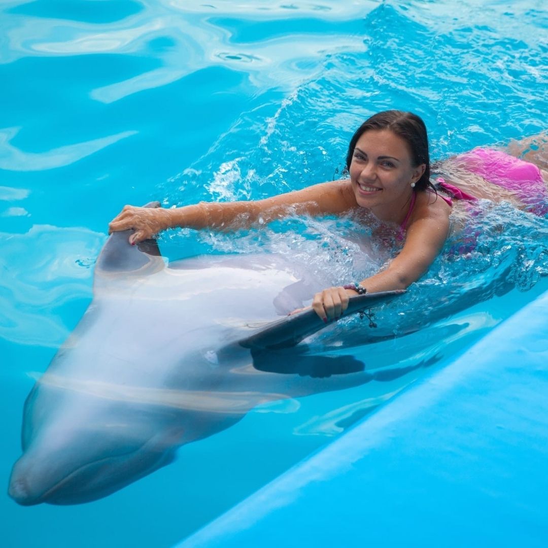11Alanya Swimming with Dolphins Tour