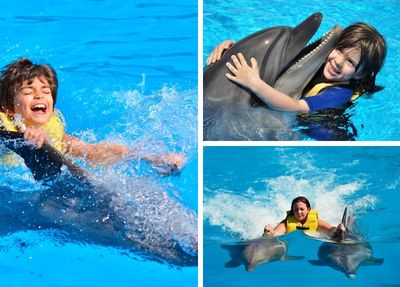 Alanya Swimming with Dolphins Tour