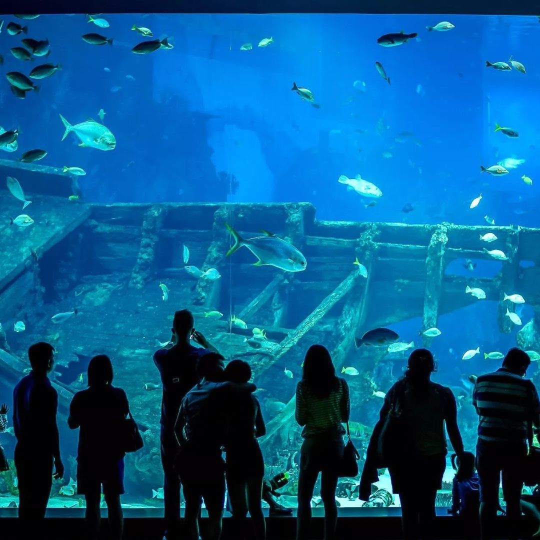 11Antalya Aquarium Tour from Alanya