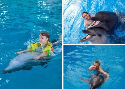 Antalya Swim with Dolphins
