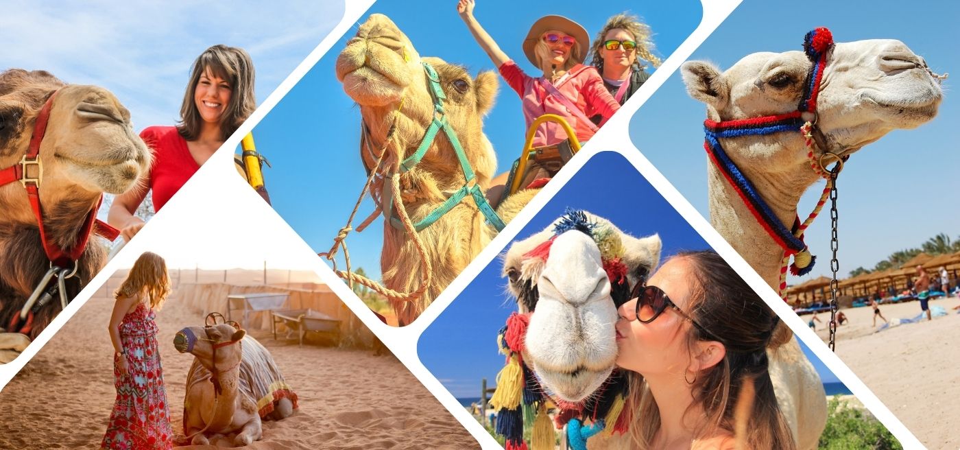Oludeniz Camel Riding | Best Price | Camel Safari in Oludeniz Kayakoy