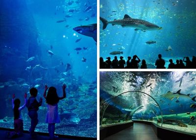 Kemer Antalya Aquarium