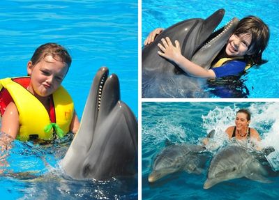 Swimming With Dolphins in Side