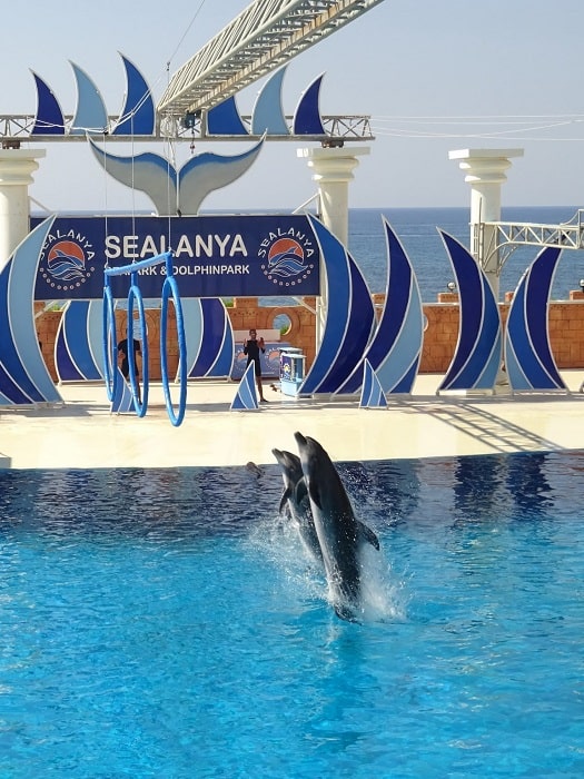 11Alanya Dolphin Show