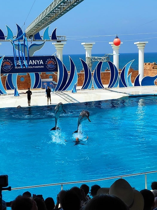 11Alanya Dolphin Show