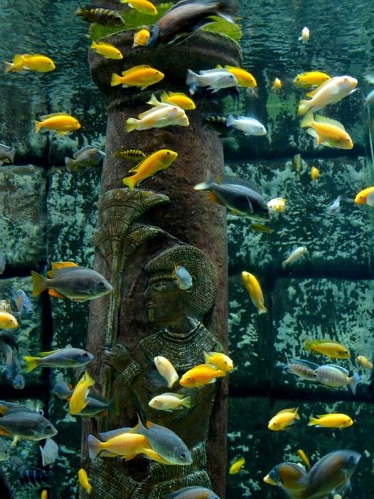 11Antalya Aquarium Tour