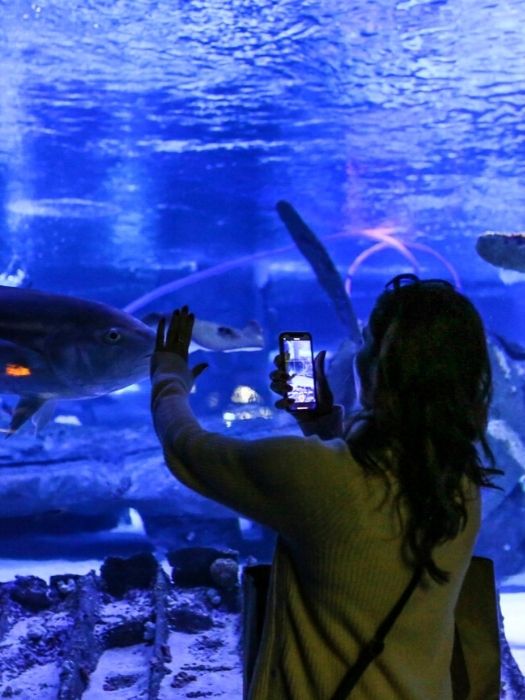 11Kemer Antalya Aquarium