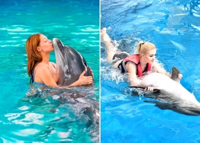 Kemer Swimming With Dolphins