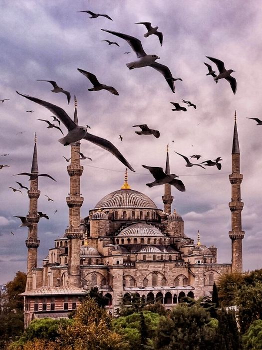11Sightseeing Tour of Istanbul from Alanya