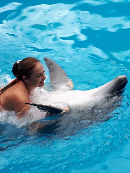 11Swimming with Dolphins in Alanya