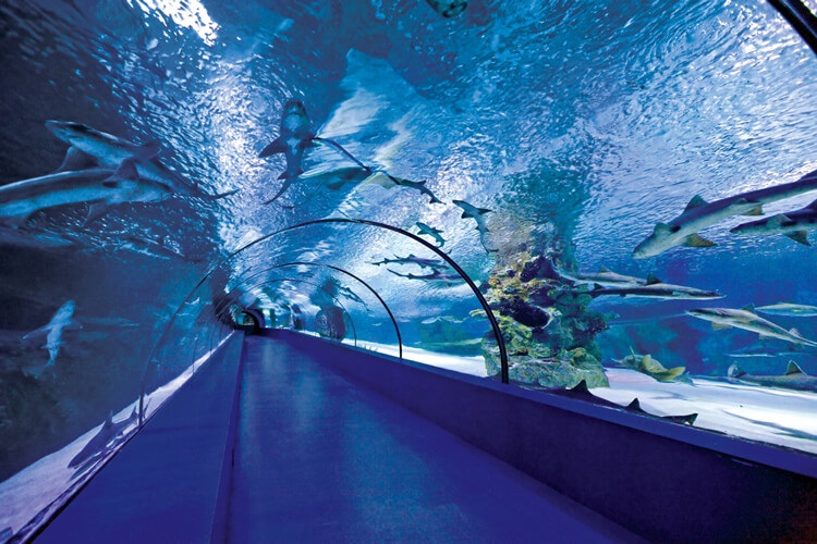 11Antalya-Aquarium