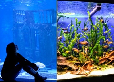 Antalya Aquarium tour from belek