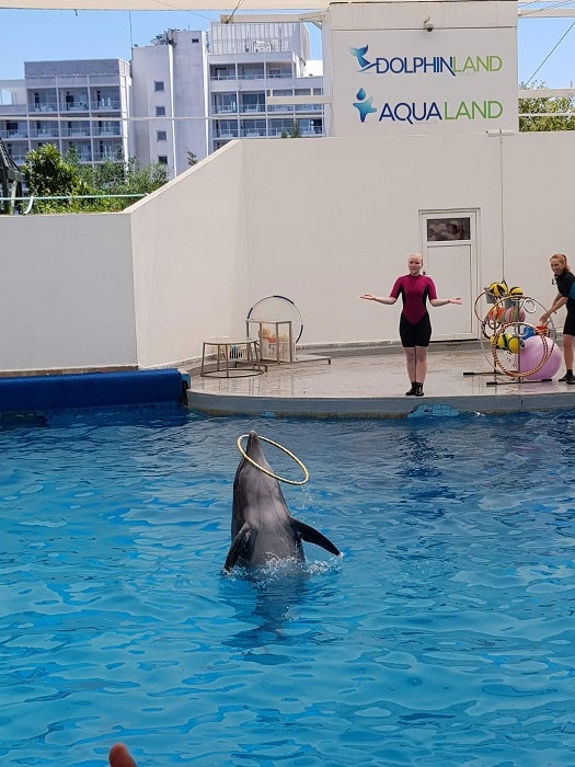 11Belek Dolphin Show