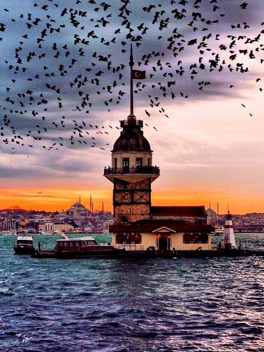 11Bosporus Cruise and Discover Two Continents