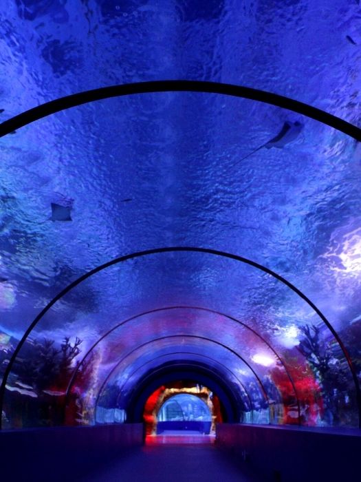 11Side Antalya Aquarium Tour
