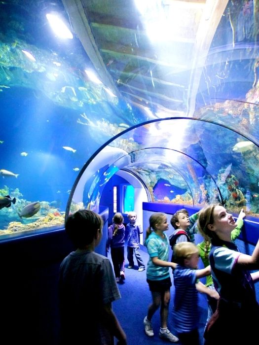 11Side Antalya Aquarium Tour
