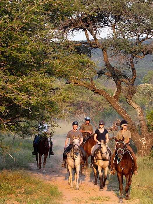 11Side Horse Safari