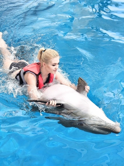 11Swimming with dolphins in side
