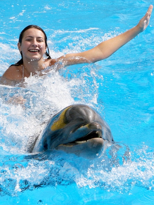 11swimming with dolphins in belek