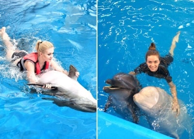 swimming with dolphins in belek